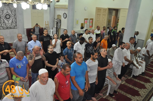 qader yaffa msajed (27).JPG